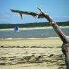 Plage de Gatseau, en face Ronce-les-Bains sur le continent