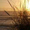 Coucher de soleil sur la plage.