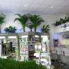 ParaSens NATUROTHERAPIE