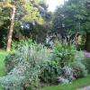 les parterres de fleurs et les vieux arbres 