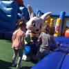 Mascottes et chateaux gonflables