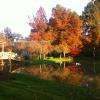 le pont chinois à l'automne 
