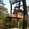 Une cabane dans les arbres !