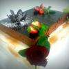 www.patisserie-tradition.com