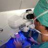 Dr Patrick Loriaut : opération LASIK