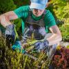 entretien de jardin 31