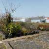 Une partie des plantations