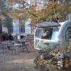 Petit Tonkinois se déplace sur demande dans votre jardin pour vos réceptions privées !