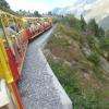 train