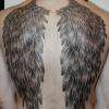 ailes en pointillisme ...