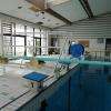VITRÉ (35 - Ille-et-Vilaine, France) - Piscine du Bocage - Installations de plongeon