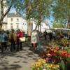 marché aux fleurs à côté de la place Jean Jaurès