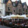 vive tours
