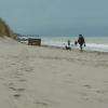 3 personnes croisées.... 3 chiens.... Et ça ne ramasse pas les crottes !! :-( La plage de Cucq : un canisite géant !! ;-(
