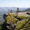 observatoire chatte pendue
