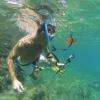 Snorkeling