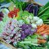 le panier de légumes crus du jardin