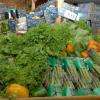 Les produits frais bio : viandes et poissons, surgelé, traiteur et plats à emporter, boulangerie et pâtisseries, crémerie,  lait, œufs,  fromage et yaourts, fruits et légumes et produits sans gluten  surgelés…

