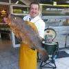 Grouper / Merou