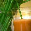 nos jus de fruits frais