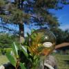 Globe d'arrosage - Dab'O