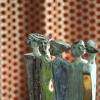 Pompes Funèbres du Pays Aixois, inhumation, crémation, devis et contrat obsèques. Aix