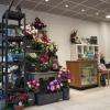 Magasin d'articles funéraires à Saint-Nazaire