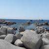 les côtes de l'ile