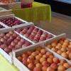 Fruits de saison, boutique Poulet Néron, Arçay (18340)