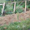 La permaculture: c'est cultiver la diversité en recherchant un maximum de synergie .