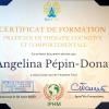 Certificat de formation en Thérapie Cognitives et Comportementales (TCC)