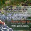 Atelier Yoga le Samedi 27 Mai 2017 de 10h à 17h à Cassis.