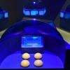 Les buzzers et la station de jeu personnelle