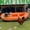 Olaf le Chien et Gérald le Coq seront de votre compagnie lors de votre équipement 