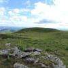 vues sur les vallées et fleurs des montagnes