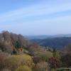 les tons roux des arbres sont magnifiques par ce grand soleil !
