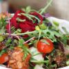 Poulet salade