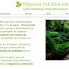 Hypnose et EMA/AMO pour vous libérer d'un trouble, mais aussi...pour réaliser vos objectifs... pour votre développement personnel et la connaissance de soi... pour vos sentiments et vos émotions... pour vivre libre simplement !

 