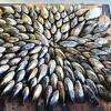 Disposition des moules avant la cuisson