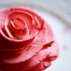 "Rose" - Ganache montée à la rose / Compotée pamplemousse / Sorbet framboise
