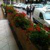 parking 80 places