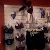Collection de lingerie Prima Donna, Rêverie Lingerie à Nogent le Rotrou (28400), vêtements et sous-vêtements pour femme