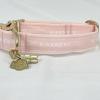 Collier pour chien réalisé à partir d'un ruban de seconde main.