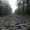 Les "fameux" pavés de la course Paris Roubaix