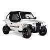 BUGGY GLAMIS 850 GT
permis B