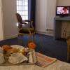 Chambre-vue-patio-Hotel-RoyalWilson-PlaceWilson