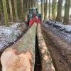 TRAVAUX EN FORET