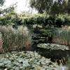 Le charmant parc des impressionnistes ! 