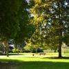 Le parc de Saales