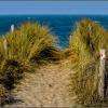 dunes protégées